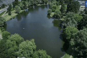 "Плесо" завершило роботи з очищення озера Віра у Святошинському районі (відео)