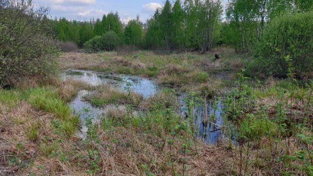 КЕКЦ заявляє про дуже високий рівень грунтових вод на місці будівництва НВМК