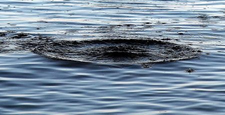 Три людини загинули у водоймах Дніпровського та Деснянського районів