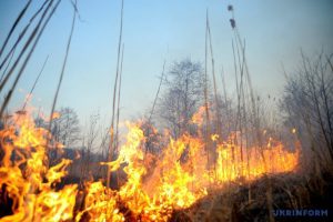 Пожежна небезпека - надзвичайна: синоптики попередили Київщину