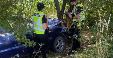На Білоцерківщині водій-пенсіонер загинув унаслідок зіткнення автівки з деревом