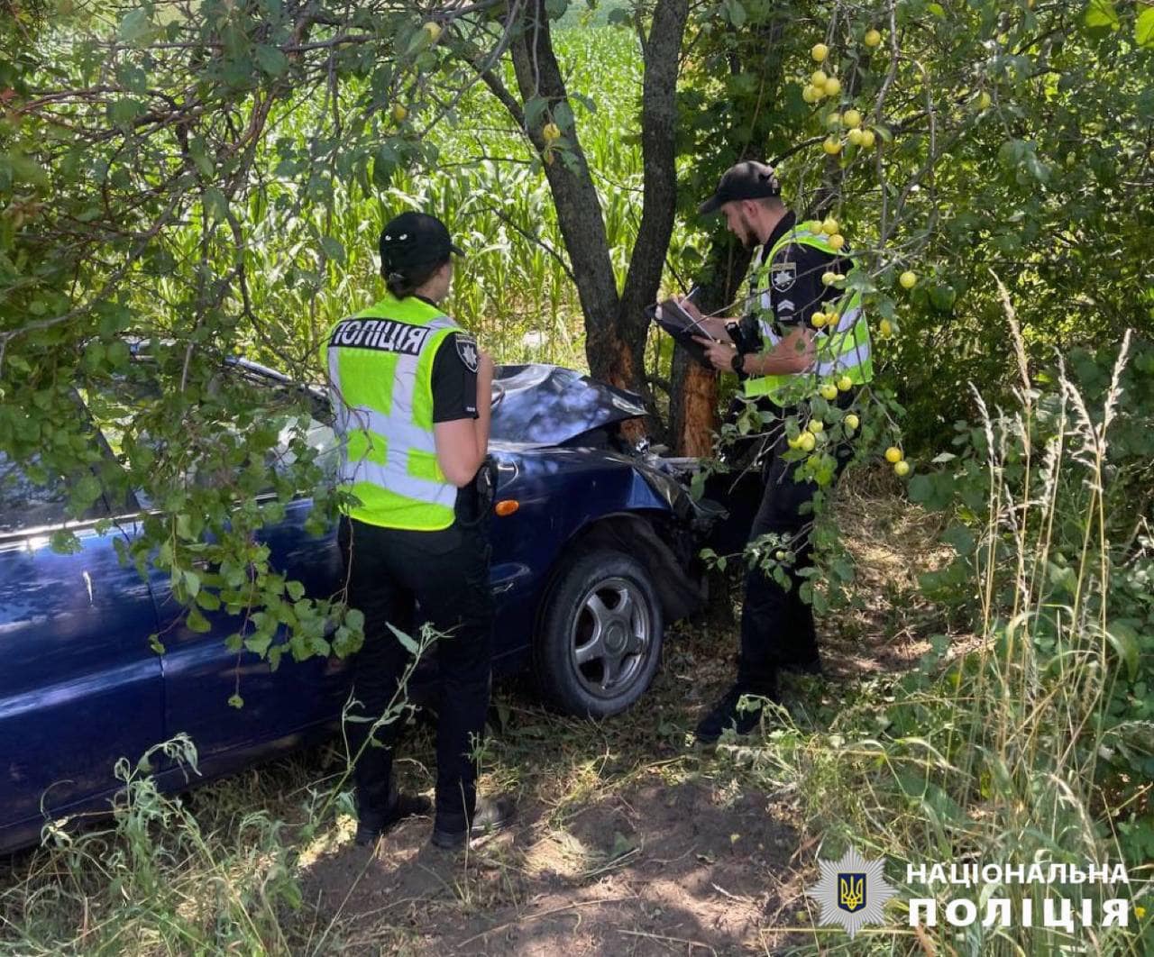 На Білоцерківщині водій-пенсіонер загинув унаслідок зіткнення автівки з деревом