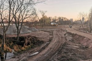 КЕКЦ: Прокуратура відреагувала на знищення заповідної природи на Оболонському острові столиці