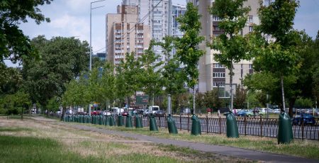 З початку року в Києві висадили більше 3,5 тисяч дерев