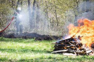 Киянам нагадали про заборону відвідувати ліси та лісопаркові зони