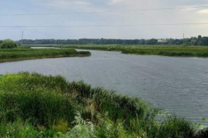 В Бучанському районі виявлено забруднення води у річці Здвиж