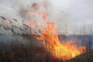 У Києві і області утримуватиметься надзвичайний рівень пожежної небезпеки до 1 вересня 