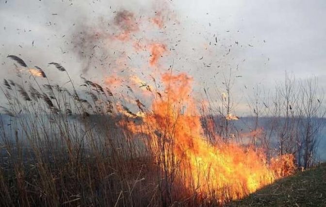 У Києві і області утримуватиметься надзвичайний рівень пожежної небезпеки до 1 вересня 