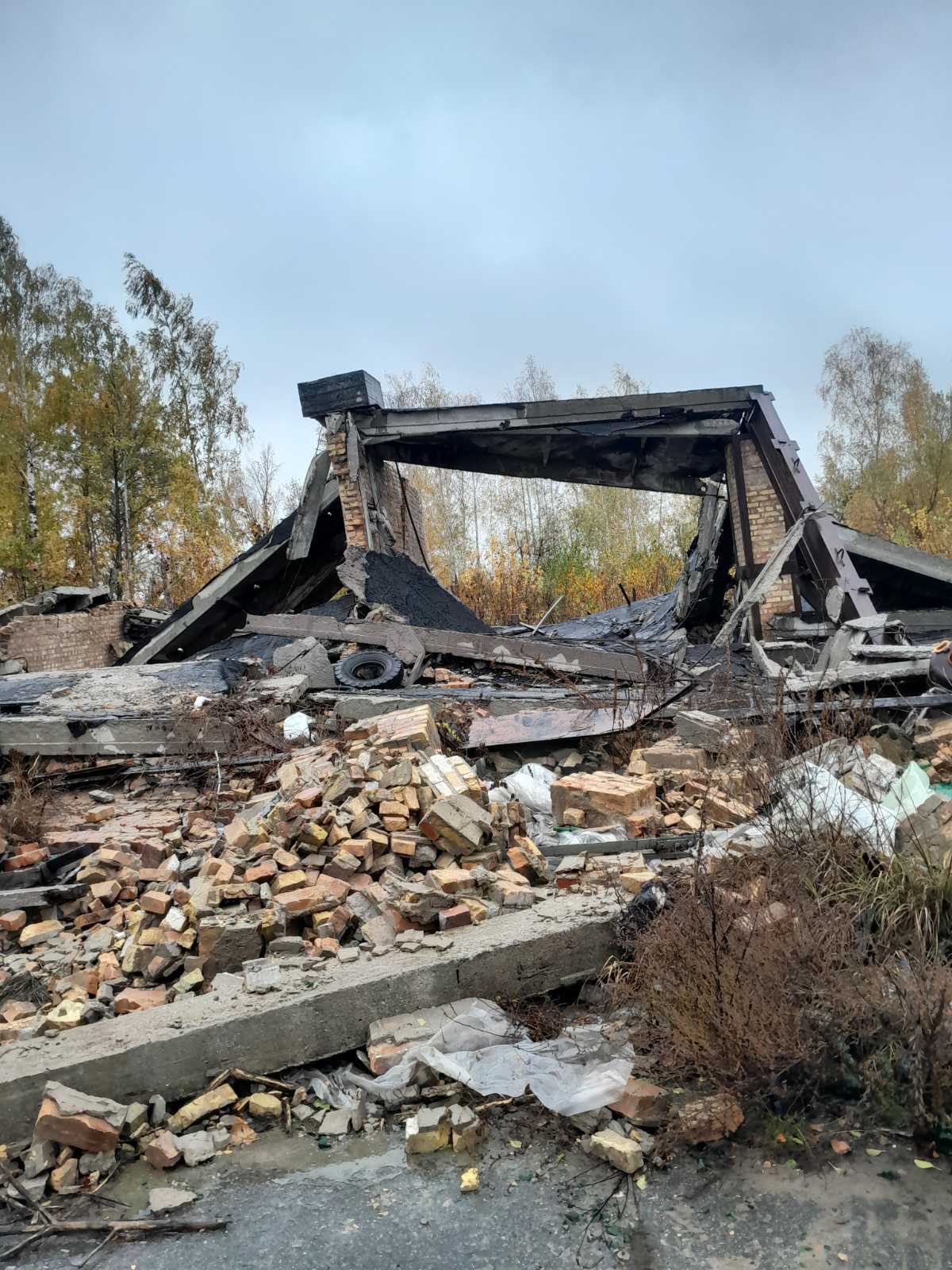 Зруйновано, але не знищено: як Київщина відроджує агросектор після деокупації