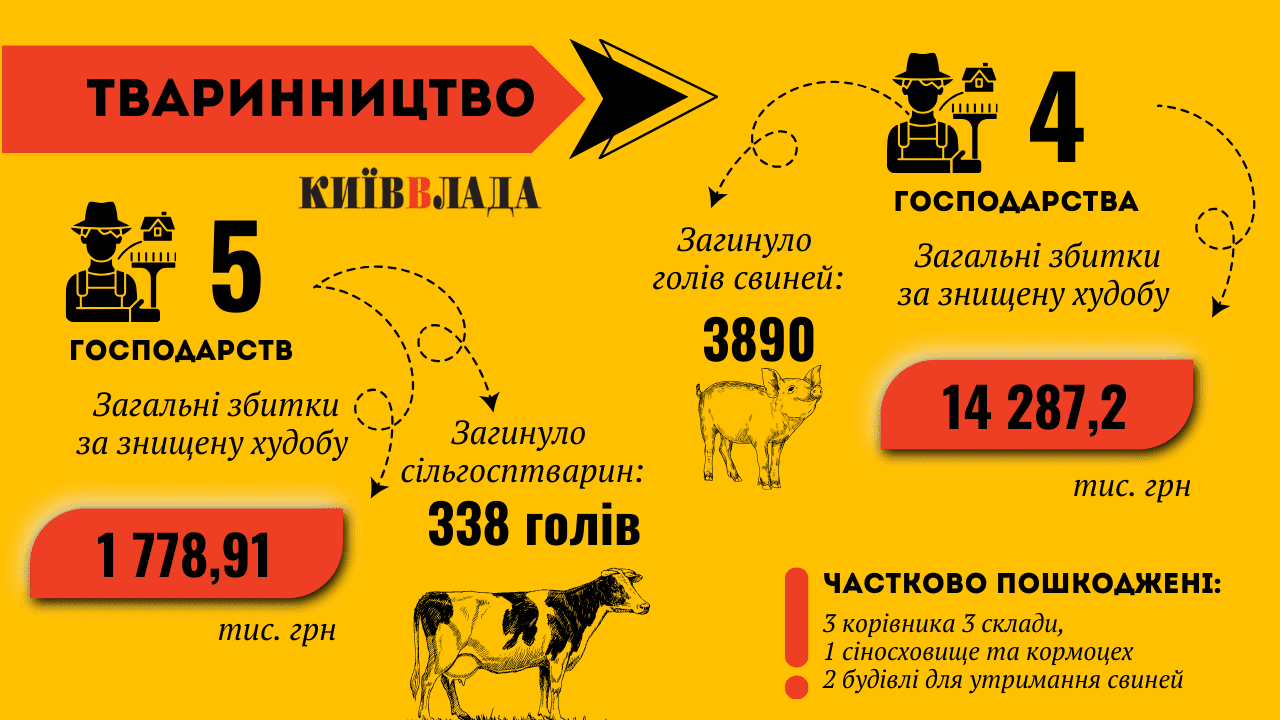 Зруйновано, але не знищено: як Київщина відроджує агросектор після деокупації