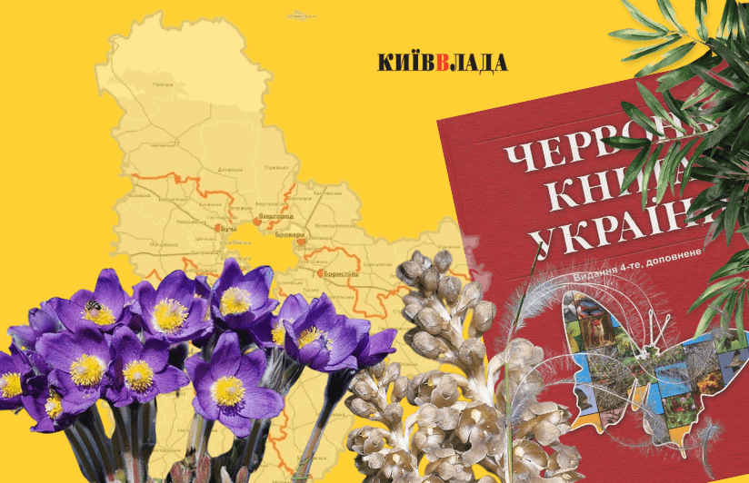 Під захистом: на Київщині створили нові об'єкти природно-заповідного фонду