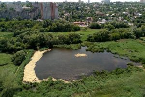 У “Київзеленбуд” не вдалося замовити дослідження стану Совських ставків за 1,6 млн гривень