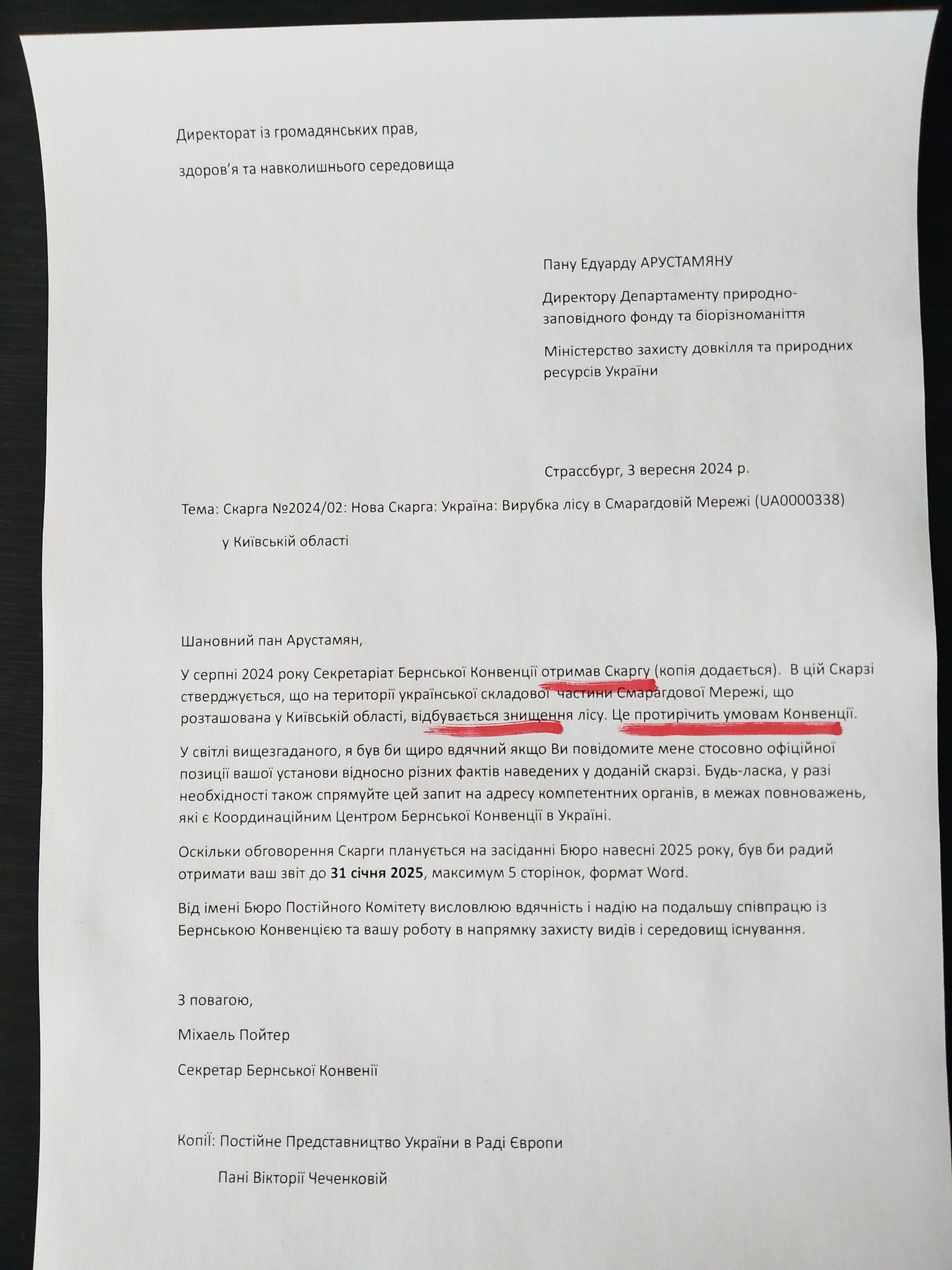 Вирубка Мархалівського лісу на Київщині під Національне військове кладовище загрожує міжнародним скандалом, - КЕКЦ