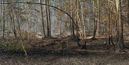 У Чорнобильській зоні триває локалізація пожеж, вогонь пройшов понад 2600 га, - Міндовкілля