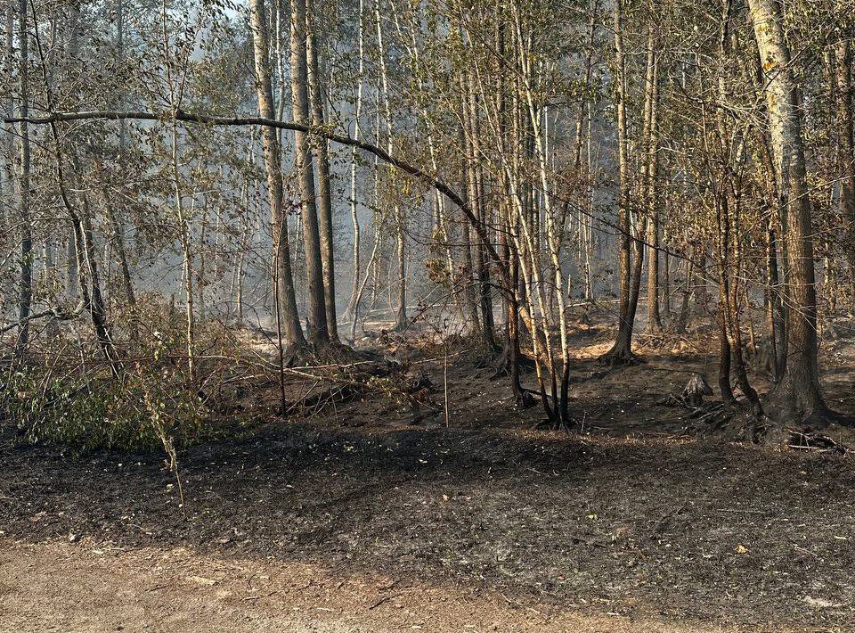 У Чорнобильській зоні триває локалізація пожеж, вогонь пройшов понад 2600 га, - Міндовкілля