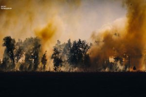 На Київщині надзвичайники врятували від вогню ціле село (фото, відео)