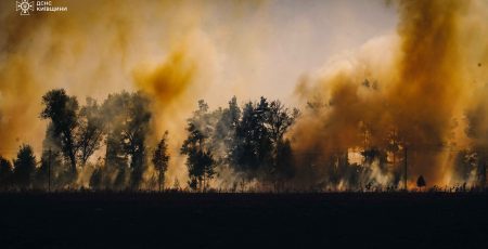 На Київщині надзвичайники врятували від вогню ціле село (фото, відео)