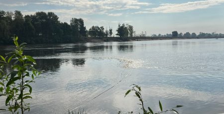 За добу забруднена вода пройшла Десною орієнтовно 30 км - Міндовкілля