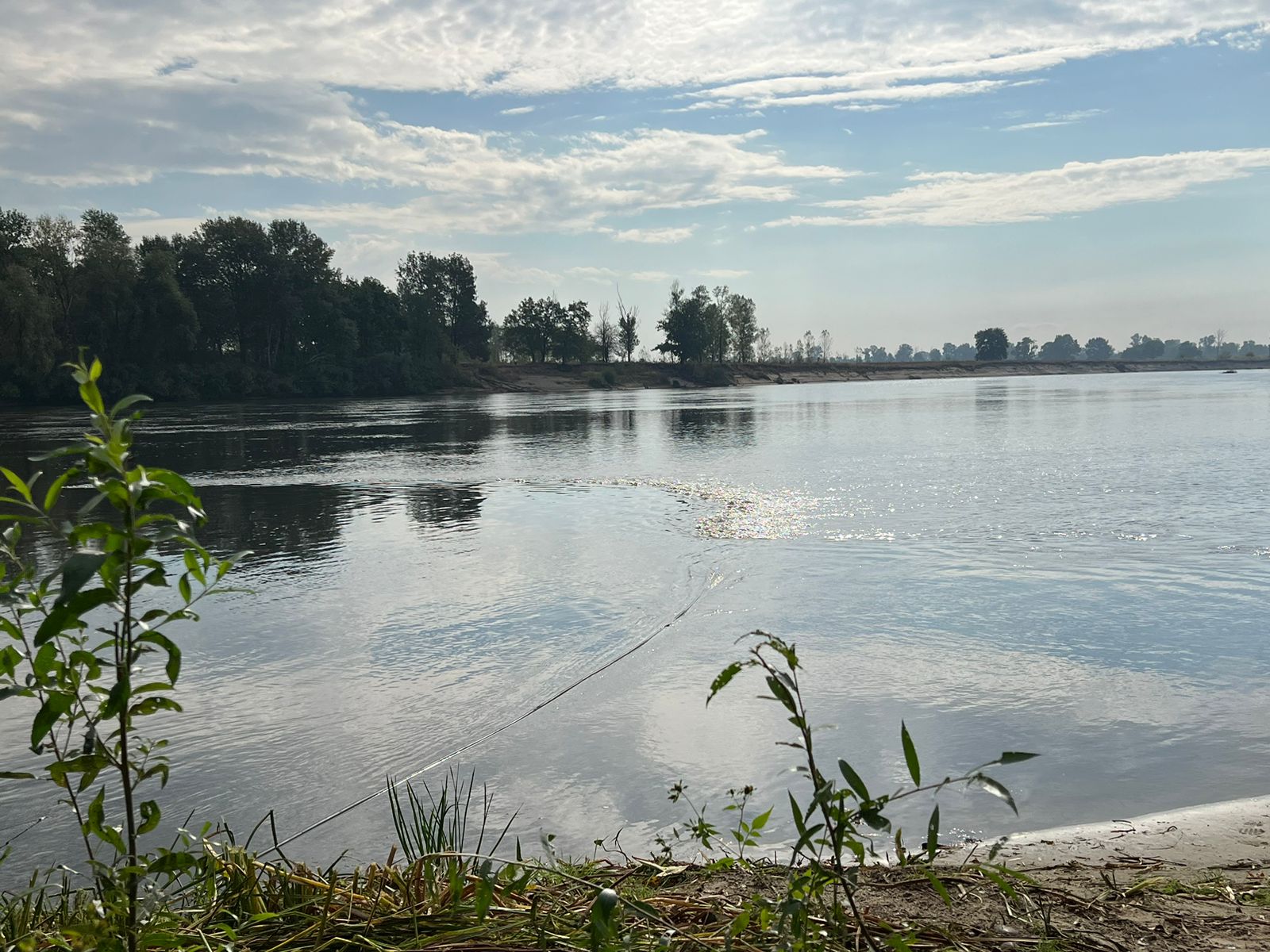 За добу забруднена вода пройшла Десною орієнтовно 30 км - Міндовкілля