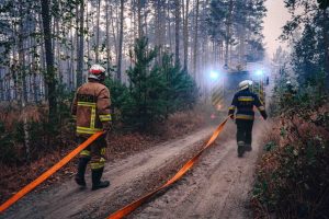 На Київщині зафіксовано погіршення стану повітря через пожежі в екосистемах