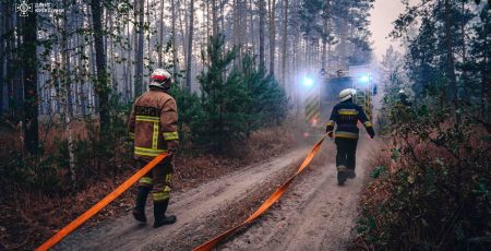 На Київщині зафіксовано погіршення стану повітря через пожежі в екосистемах