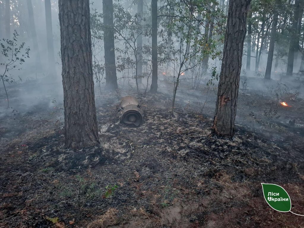 Лісівники на Київщині локалізували загоряння, спричинені обстрілом росармії