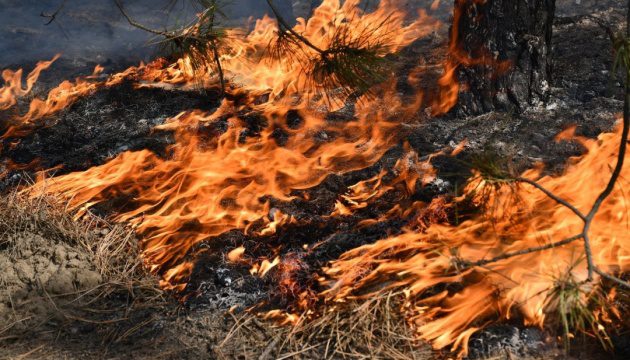 На Київщині оголошено надзвичайний рівень пожежної небезпеки