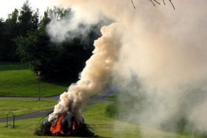 Через пожежі у двох районах Київщини фіксують погіршення якості повітря