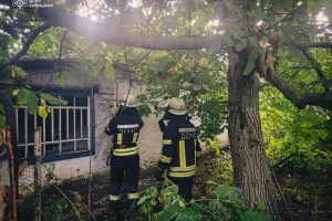 На Бориспільщині пожежа забрала життя жінки похилого віку