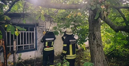 На Бориспільщині пожежа забрала життя жінки похилого віку