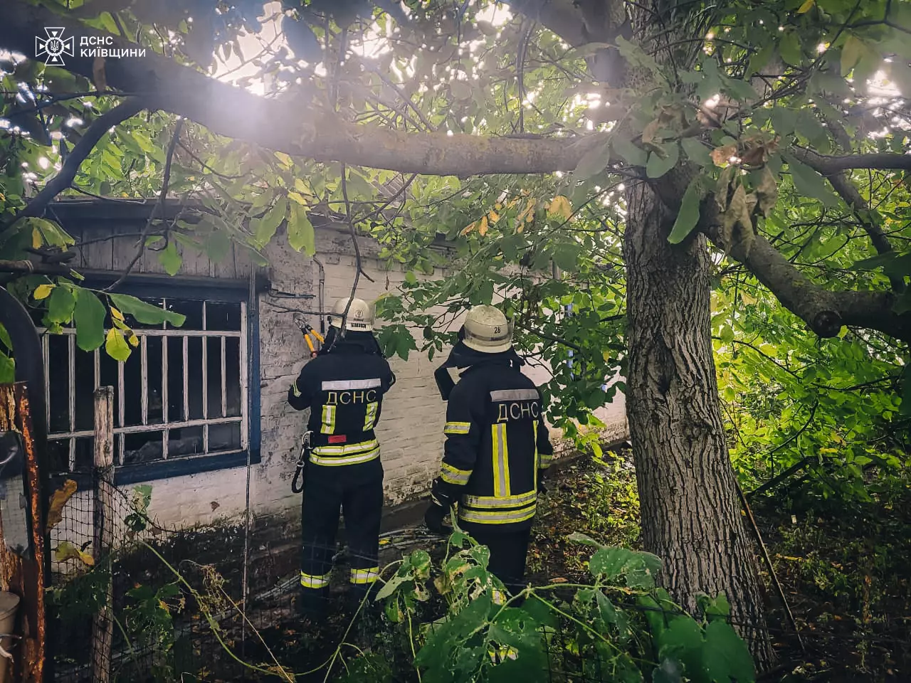 На Бориспільщині пожежа забрала життя жінки похилого віку