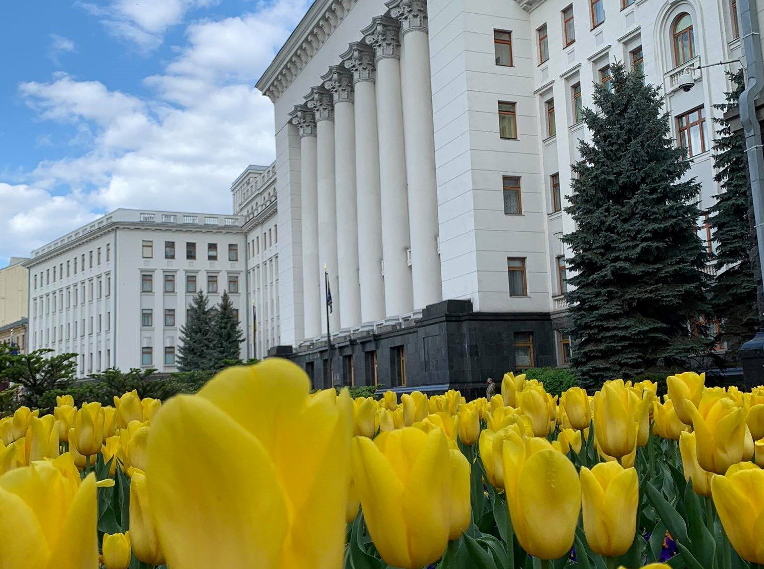 Для оздоблення ґанку Офісу Президента замовили гіацинти і тюльпани