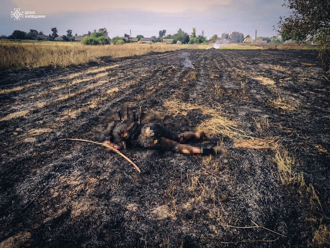 На Вишгородщині під час спалювання сухостою загинула пенсіонерка (фото)