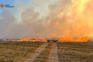 ДСНС: За добу на Київщині сталося 55 пожеж в екосистемах