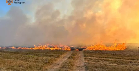 ДСНС: За добу на Київщині сталося 55 пожеж в екосистемах