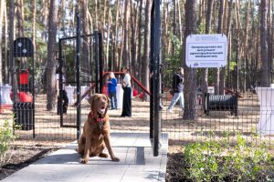 У столичному парку «Совки» відкрили новий майданчик для вигулу та дресирування собак