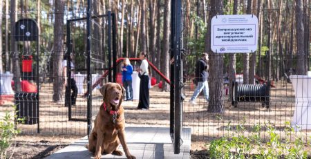 У столичному парку «Совки» відкрили новий майданчик для вигулу та дресирування собак