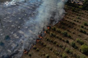 У Подільському районі ліквідовано пожежу в екосистемах (фото, відео)