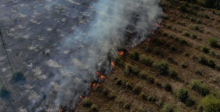 У Подільському районі ліквідовано пожежу в екосистемах (фото, відео)