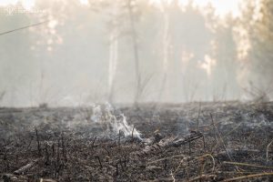 Киян попереджають про погіршення якості повітря в деяких районах через пожежу в екосистемі Вишгородщини