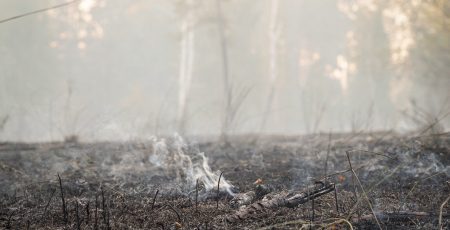 Киян попереджають про погіршення якості повітря в деяких районах через пожежу в екосистемі Вишгородщини