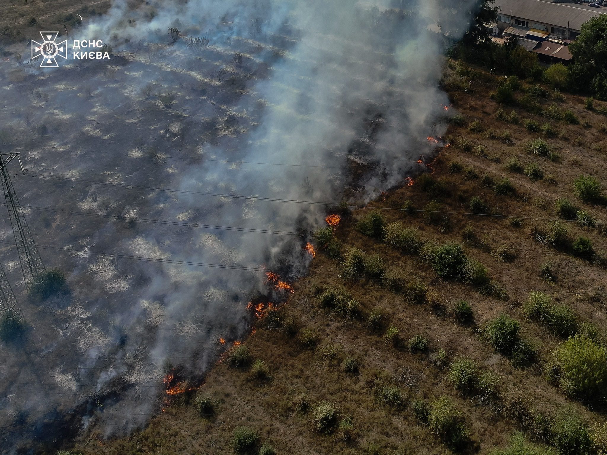 У Подільському районі ліквідовано пожежу в екосистемах (фото, відео)