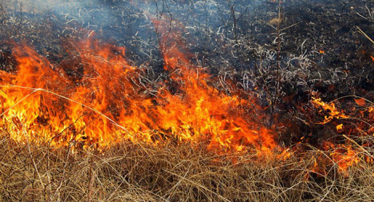 В двох районах Київщини внаслідок падіння уламків БПЛА сталися загорання травʼяного настилу та лісової підстилки, - Руслан Кравченко