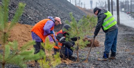 КМДА збирається витратити 1,5 млн гривень на розробку екологічної програми для столиці