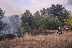 На Бориспільщині пенсіонер ледь не згорів, намагаючись загасити пожежу сухостою