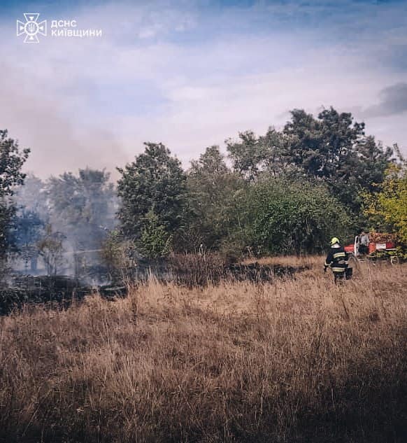 На Бориспільщині пенсіонер ледь не згорів, намагаючись загасити пожежу сухостою