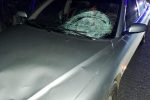 Смертельне ДТП: на Київщині під колесами авто на трасі загинула жінка