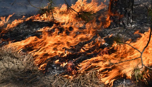 У Києві та області на найближчі три дні оголошено надзвичайний рівень пожежної небезпеки