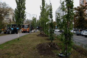 З початку року озеленювачі висадили у парках та на бульварах столиці близько 4 тис. дерев (відео)