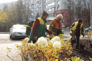 У столичному парку «Юність» висадили 350 декоративних кущів